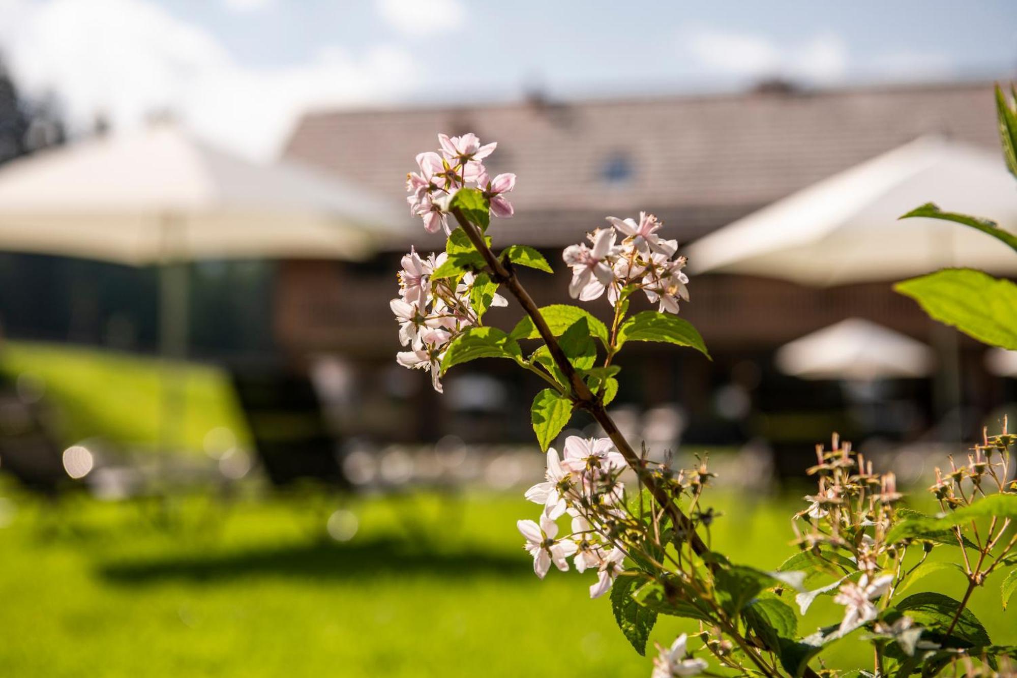 Lerchpeuntgut Alpenfreud Apartments Tamsweg Luaran gambar