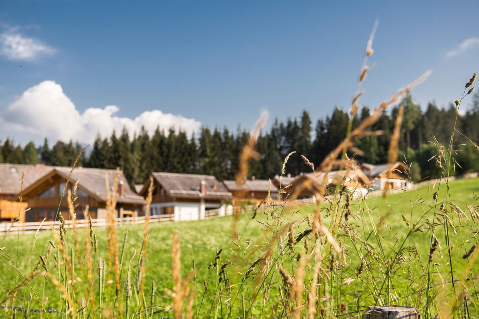 Lerchpeuntgut Alpenfreud Apartments Tamsweg Luaran gambar