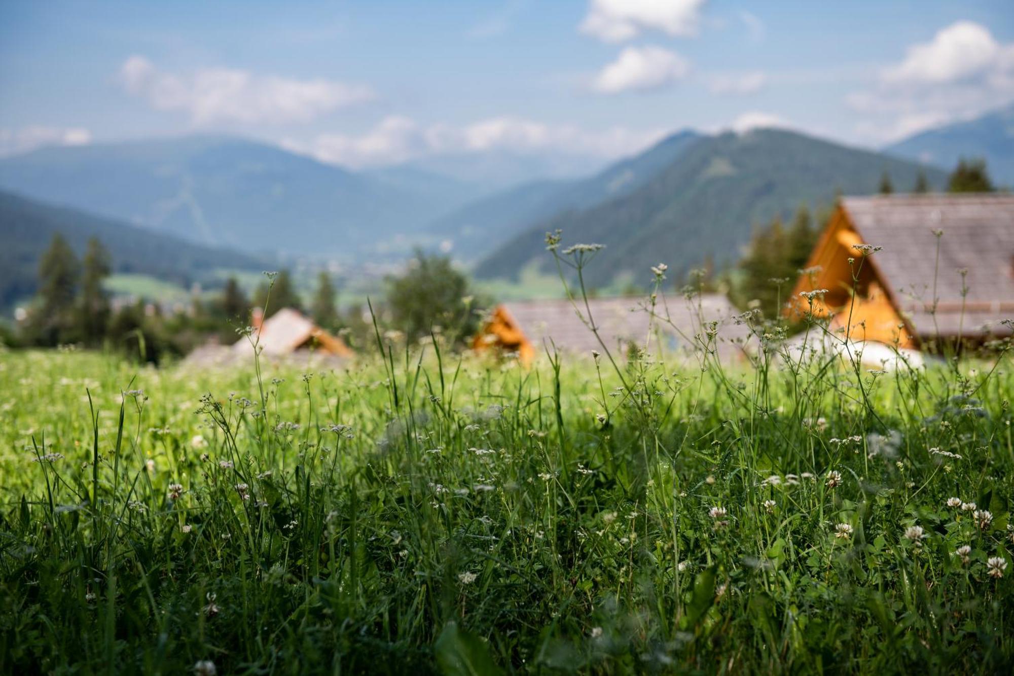 Lerchpeuntgut Alpenfreud Apartments Tamsweg Luaran gambar