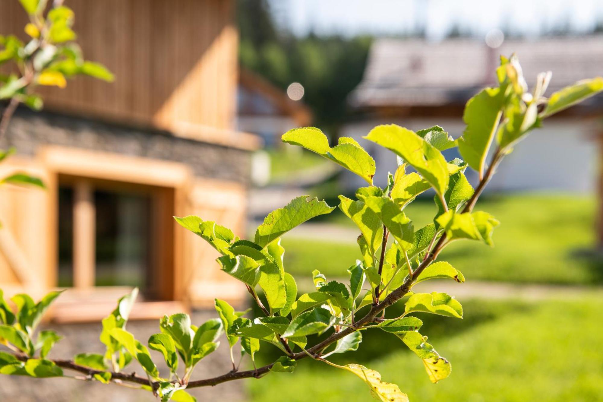 Lerchpeuntgut Alpenfreud Apartments Tamsweg Luaran gambar